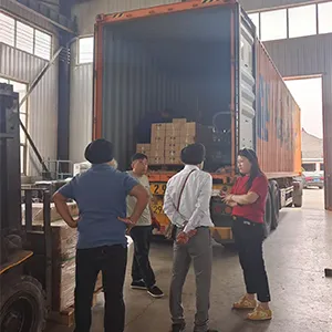 Customers Visiting Our Factory